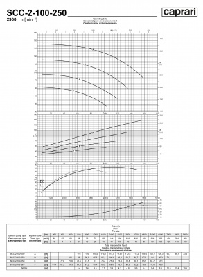 Горизонтальные насосы двустороннего входа Caprari SCC-2-100-250 2900