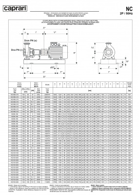 Одноступенчатые горизонтальные центробежные насосы Caprari NC 100-250 1450