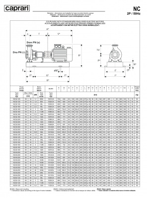 Одноступенчатые горизонтальные центробежные насосы Caprari NC 32-125 2900