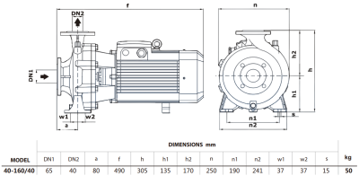Центробежный насос Purity PSTG-R5 40-160/40