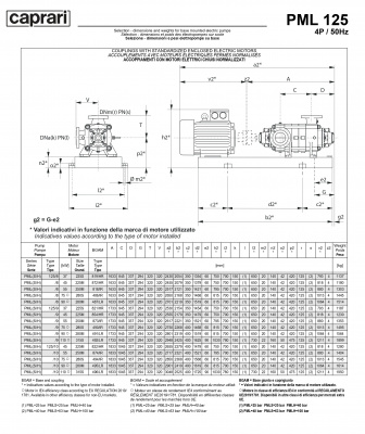 Горизонтальные многоступенчатые насосы высокого давления Caprari PML 125 1750