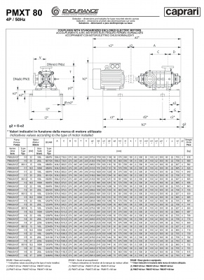 Горизонтальные секционные насосы высокого давления Caprari PMXT 80 2900 из нержавеющей стали