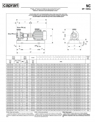 Одноступенчатые горизонтальные центробежные насосы Caprari NCH 250-250 1450