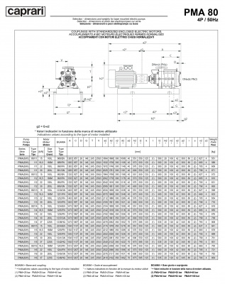 Горизонтальные многоступенчатые насосы высокого давления Caprari PMA 80 1450