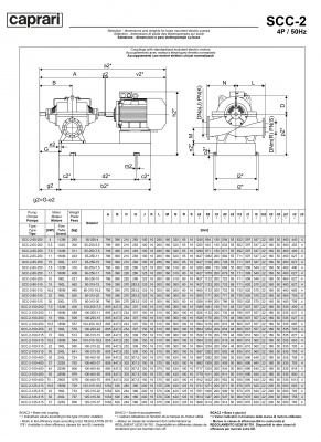 Горизонтальные насосы двустороннего входа Caprari SCC-2-80-250 2900