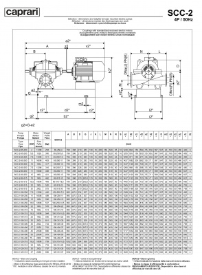 Горизонтальные насосы двустороннего входа Caprari SCC-2-125-315 2900