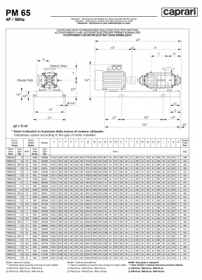 Горизонтальные многоступенчатые насосы высокого давления Caprari PM 65 2000