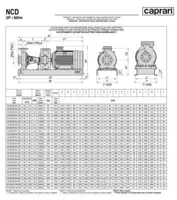 Одноступенчатые горизонтальные центробежные насосы Caprari NCDS 2P65-160 3450