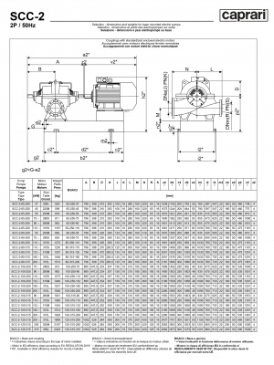 Горизонтальные насосы двустороннего входа Caprari SCC-2-125-315 2900