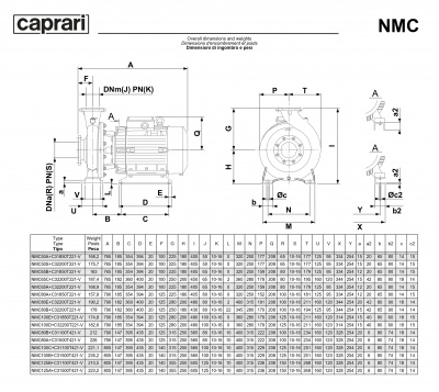 Поверхностные одноступенчатые консольно-моноблочные насосы Caprari NMC 80 4P