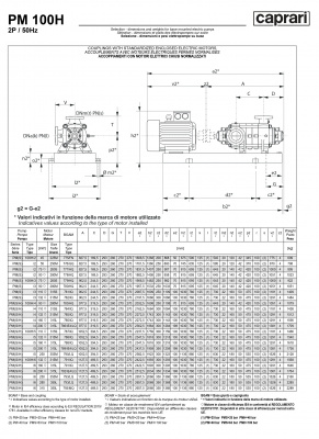 Горизонтальные многоступенчатые насосы высокого давления Caprari PM 100 2900