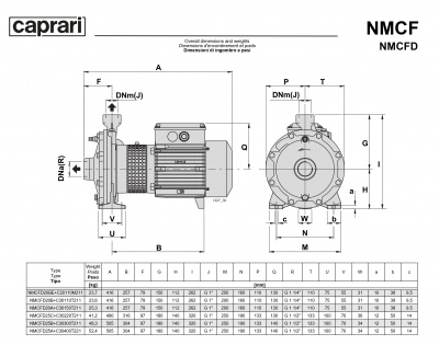 Поверхностные одноступенчатые консольно-моноблочные насосы Caprari NMCF 20