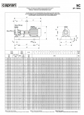 Одноступенчатые горизонтальные центробежные насосы Caprari NC 40-125 1450