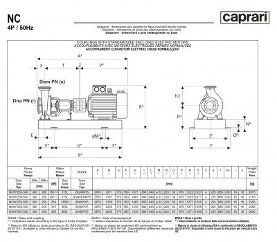 Одноступенчатые горизонтальные центробежные насосы Caprari NCHF 250-500 950