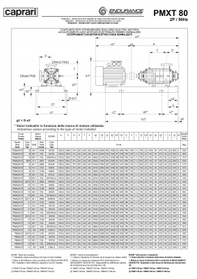 Горизонтальные секционные насосы высокого давления Caprari PMXT 80 1750 из нержавеющей стали