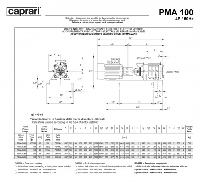 Горизонтальные многоступенчатые насосы высокого давления Caprari PMA 100H 3500