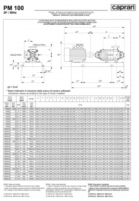 Горизонтальные многоступенчатые насосы высокого давления Caprari PM 100 2900