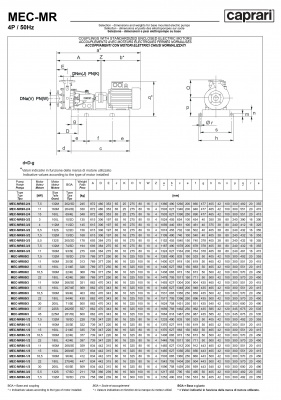 Горизонтальные многоступенчатые насосы Caprari MEC-MR 1450