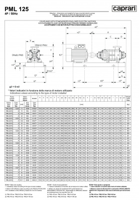 Горизонтальные многоступенчатые насосы высокого давления Caprari PML 125 1750