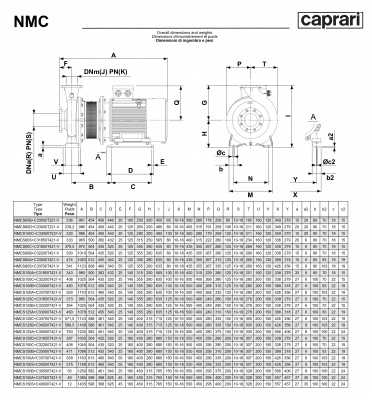 Поверхностные одноступенчатые консольно-моноблочные насосы Caprari NMC 100 2P