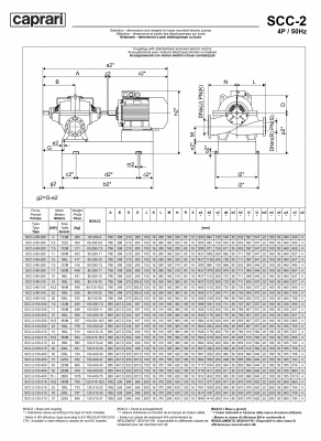 Горизонтальные насосы двустороннего входа Caprari SCC-2-65-250 1450