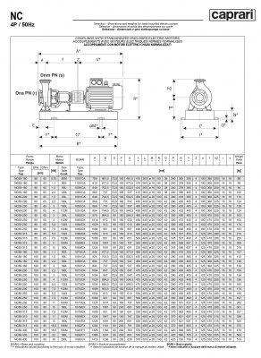 Одноступенчатые горизонтальные центробежные насосы Caprari NC 65-200 2900