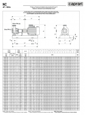 Одноступенчатые горизонтальные центробежные насосы Caprari NC 65-250 2900