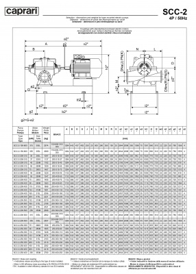 Горизонтальные насосы двустороннего входа Caprari SCC-2-250-450 1450