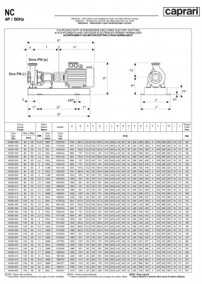 Одноступенчатые горизонтальные центробежные насосы Caprari NC 80-200 2900