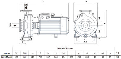 Центробежный насос Purity PSTG-R5 80-125/40