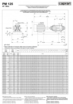 Горизонтальные многоступенчатые насосы высокого давления Caprari PM 125 1750