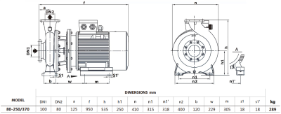 Центробежный насос Purity PSTG-R5 80-250/370