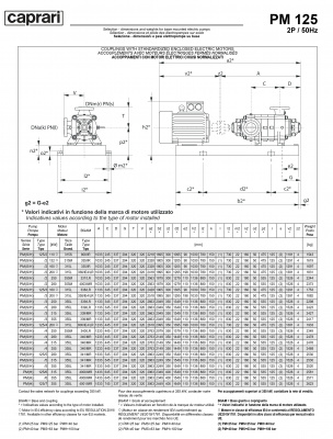 Горизонтальные многоступенчатые насосы высокого давления Caprari PM 125 1450