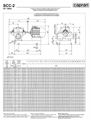 Горизонтальные насосы двустороннего входа Caprari SCC-2-100-250 1450