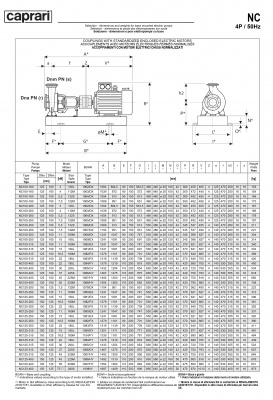 Одноступенчатые горизонтальные центробежные насосы Caprari NC 100-200 2900