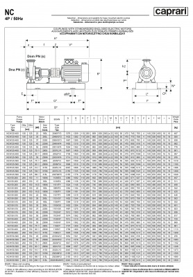 Одноступенчатые горизонтальные центробежные насосы Caprari NC 150-315 1450