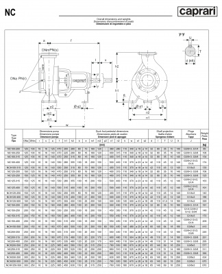 Одноступенчатые горизонтальные центробежные насосы Caprari NC 250-315 1450