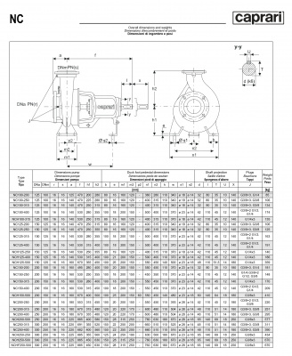 Одноступенчатые горизонтальные центробежные насосы Caprari NCH 250-500 1450