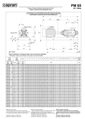 Горизонтальные многоступенчатые насосы высокого давления Caprari PM 65 1450