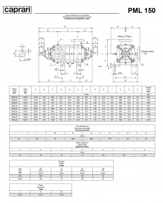Горизонтальные многоступенчатые насосы высокого давления Caprari PML 150H 2900