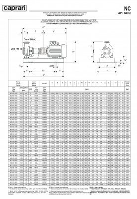 Одноступенчатые горизонтальные центробежные насосы Caprari NC 125-250 1450