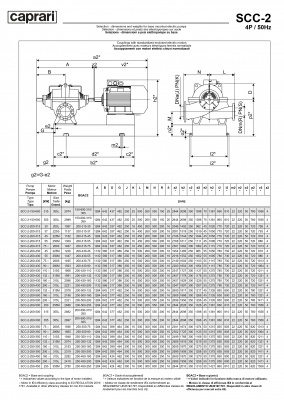 Горизонтальные насосы двустороннего входа Caprari SCC-2-200-430 1450