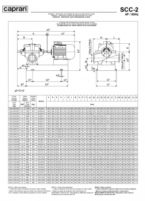 Горизонтальные насосы двустороннего входа Caprari SCC-2-80-250 1450