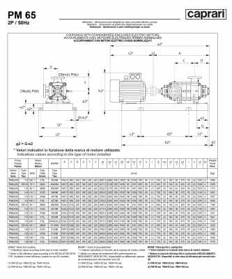 Горизонтальные многоступенчатые насосы высокого давления Caprari PM 65 1450